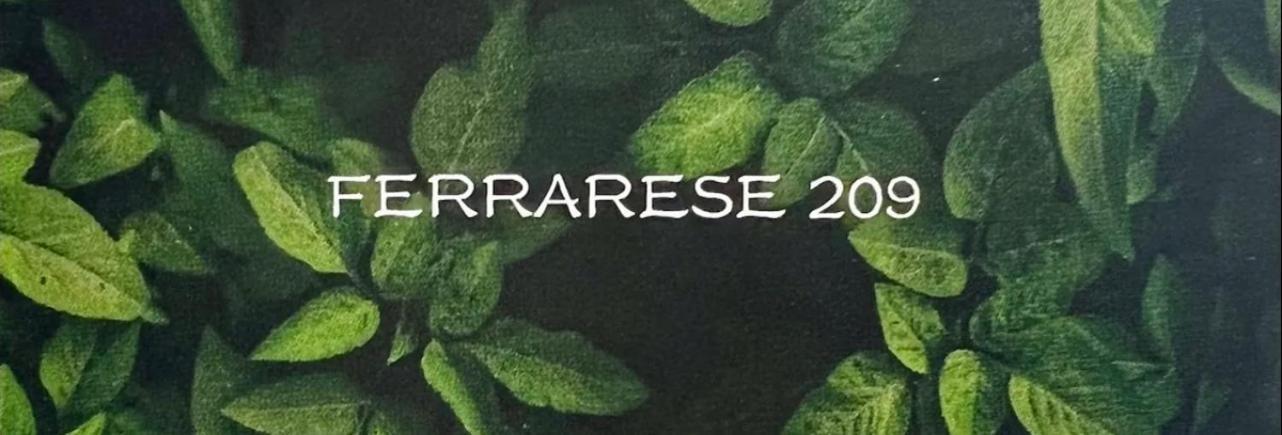 Ferrarese209 Apartment Bologna Ngoại thất bức ảnh